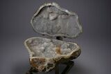 Amazing Quartz Geode Display on Stand - Spectacular #351499-7